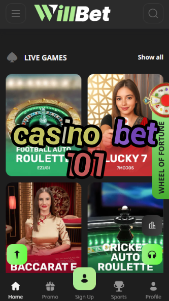 Casino Bet 101 - Beginner's Betting Guide-777casinobus.ydblkf.net